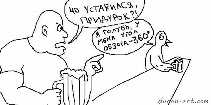 700x350, 61 Kb / голубь, бар, пиво