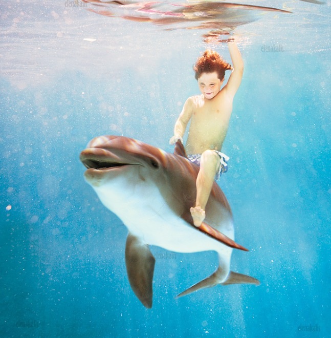 647x660, 116 Kb / дельфин, ребенок