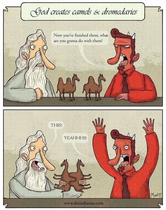 640x808, 133 Kb / бог, дьявол, верблюд, дромедар, паззл