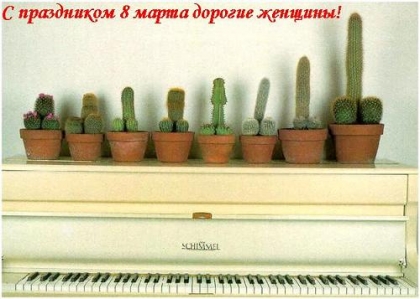 420x299, 98 Kb / кактусы, 8 марта, пианино