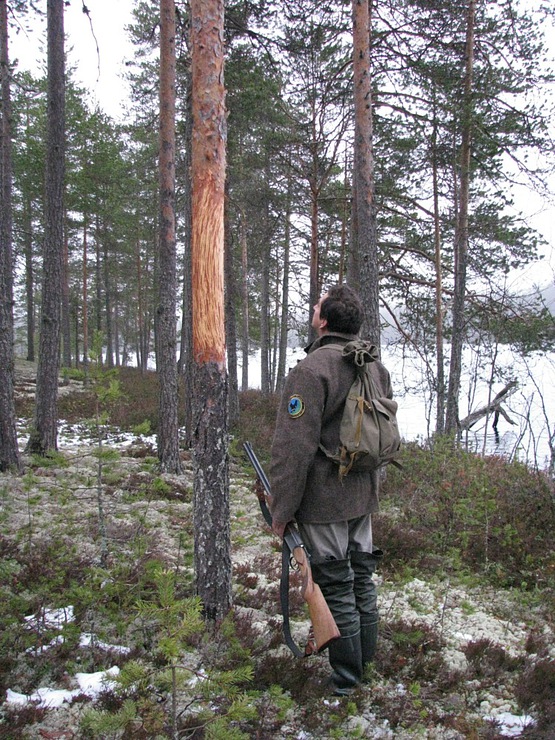 555x740, 217 Kb / лес, лесник