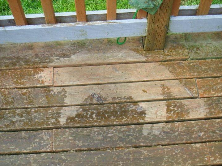 718x537, 81 Kb / след, дождь, котэ