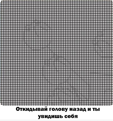 458x489, 131 Kb / странности зрения