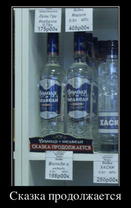 442x700, 64 Kb / Володя и медведи