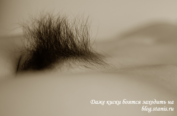 624x408, 49 Kb / лобок, волосы, ирокез, мохнатка