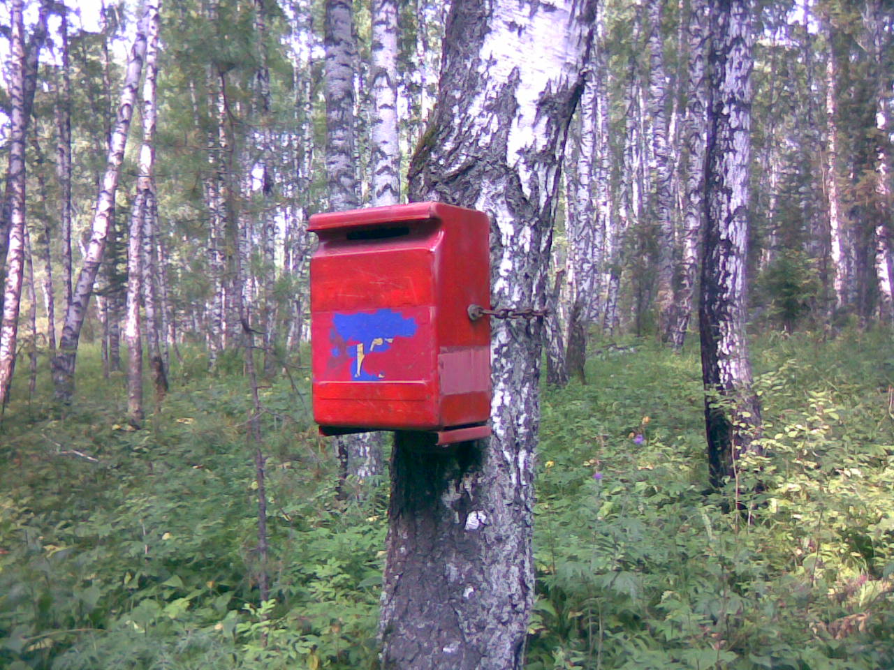 1280x960, 265 Kb / лес, почта, ящик