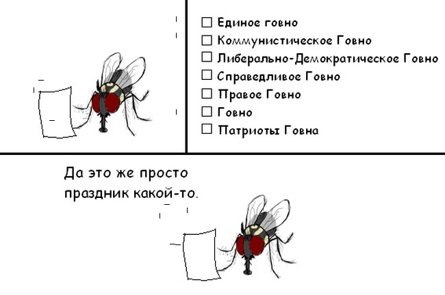 650x432, 52 Kb / выборы