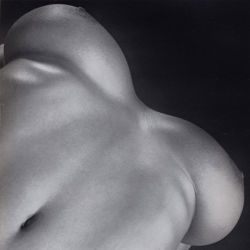 800x800, 144 Kb / ч/б