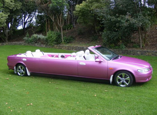 629x460, 138 Kb / трава, авто, кабриолет