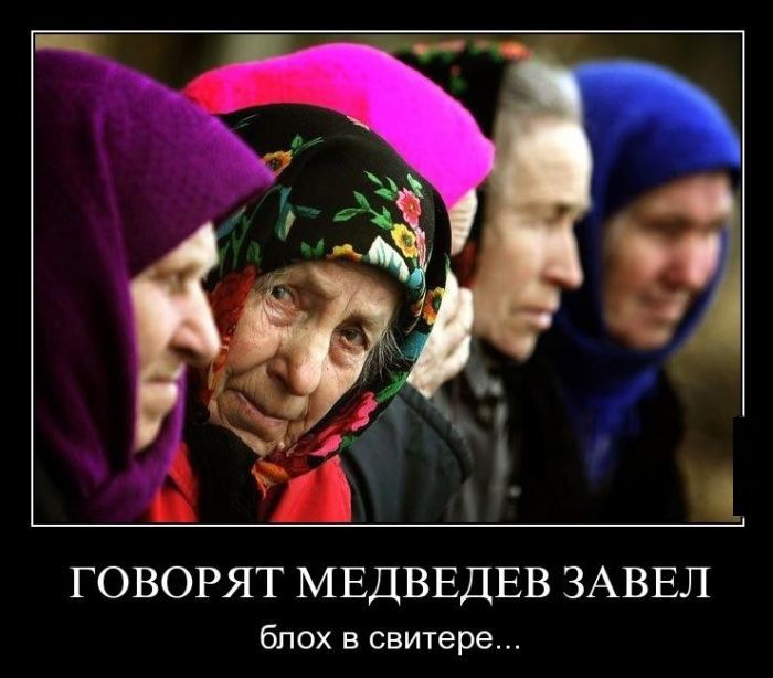 700x614, 61 Kb / бабки, медведев, блог, твиттер, блохи, свитер