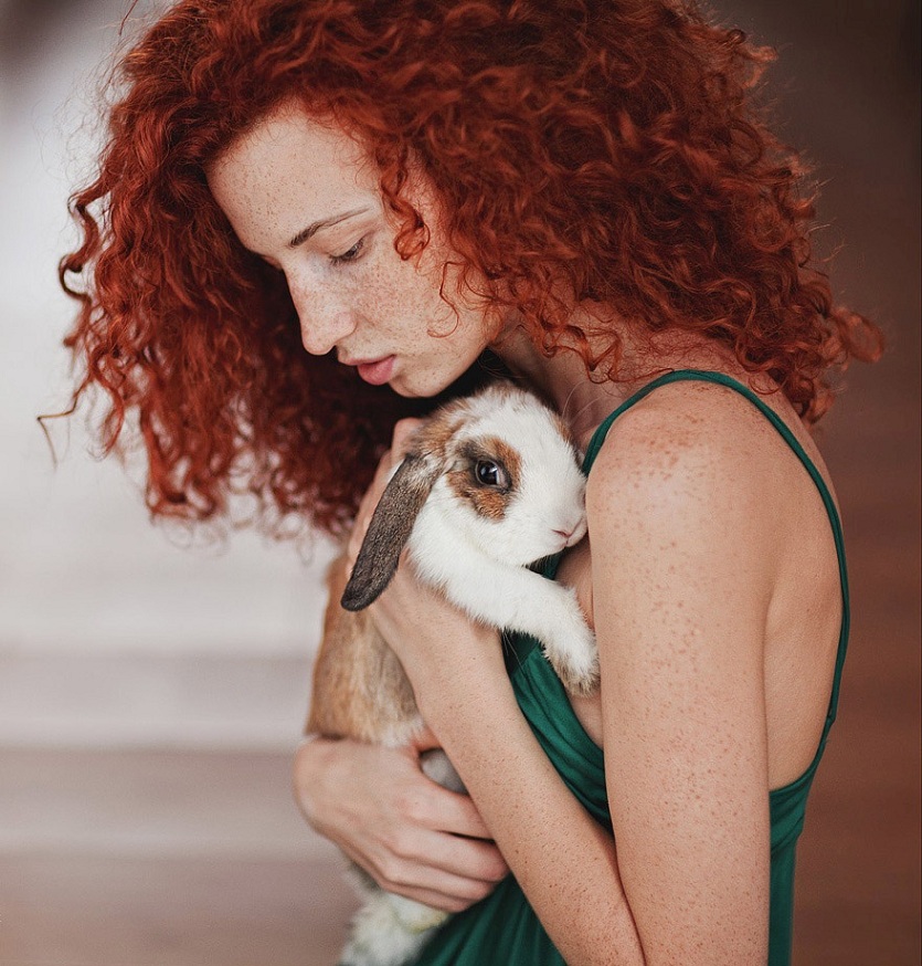 835x874, 240 Kb / рыжая, кролик