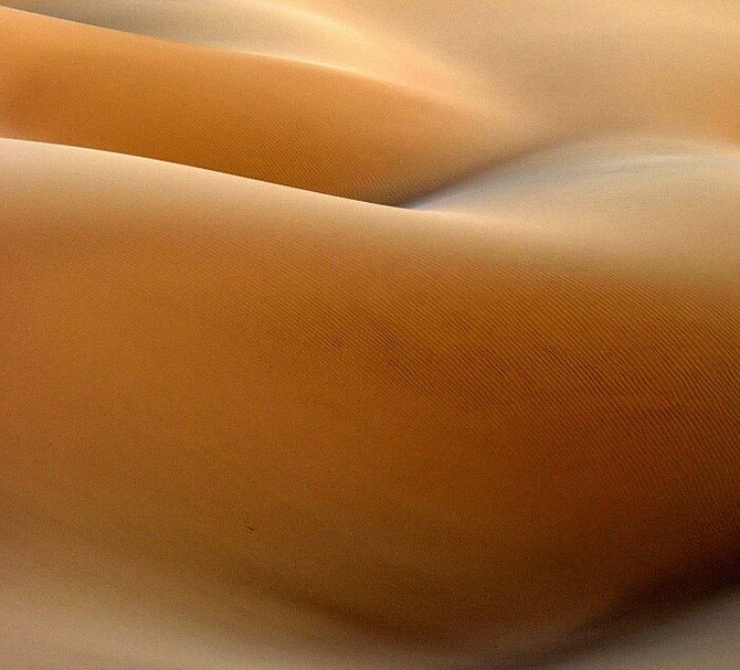 670x607, 85 Kb / дюна, пустыня, фрейд