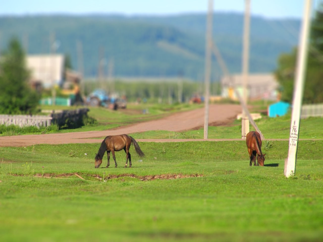 1280x960, 142 Kb / тилт шифт, деревня