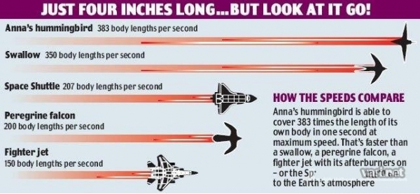 600x278, 131 Kb / шкала, скорость, ласточка, самолет, шатл