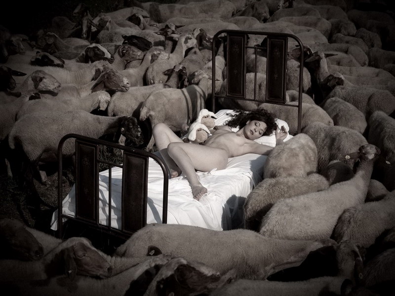 800x600, 151 Kb / ночь, сон, овцы, кровать