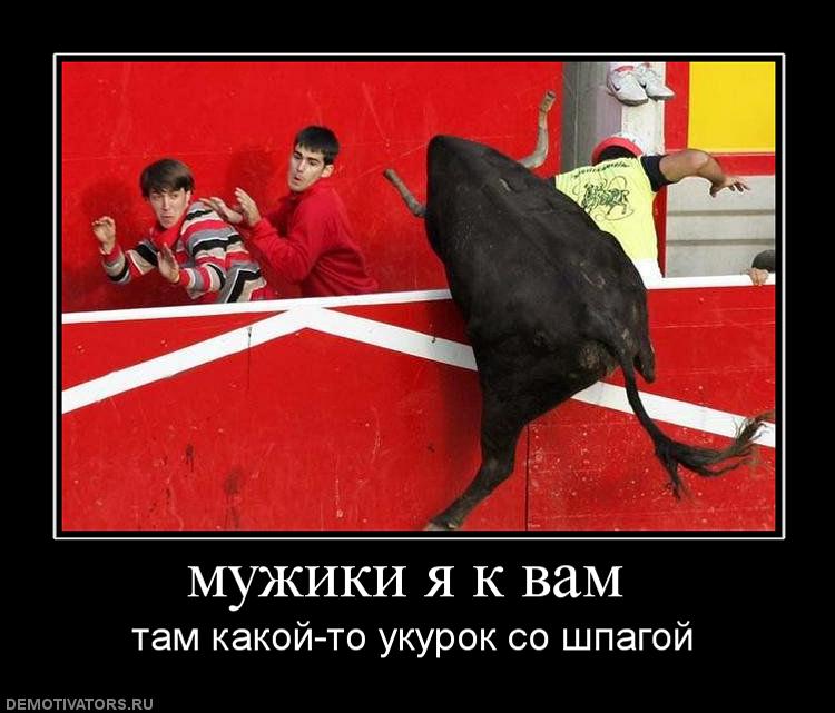 750x641, 61 Kb / коррида, бык