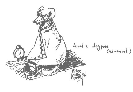 430x299, 20 Kb / собака, йога, асана, плед, ТКП