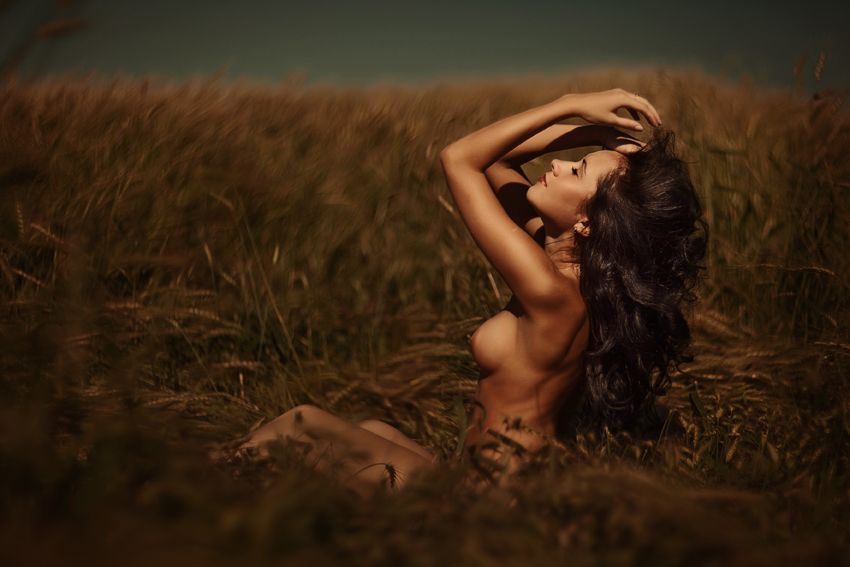 850x567, 49 Kb / поле, пшеница, девушка, сиськи