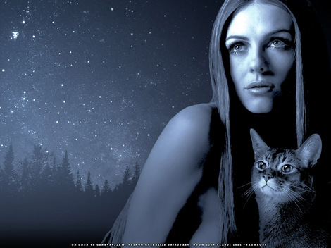 470x352, 59 Kb / звезды, лес, ночь