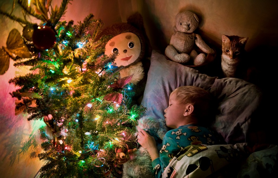 900x576, 181 Kb / ёлка, ребёнок, игрушки, сон, чебурашка, котэ, подушка