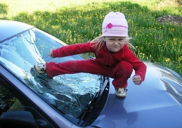 630x443, 59 Kb / девочка, стекло, удар, одуванчики