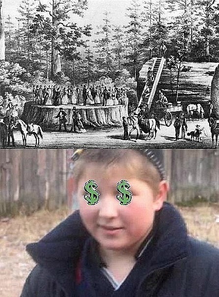 446x604, 127 Kb / поцык, парень, пень