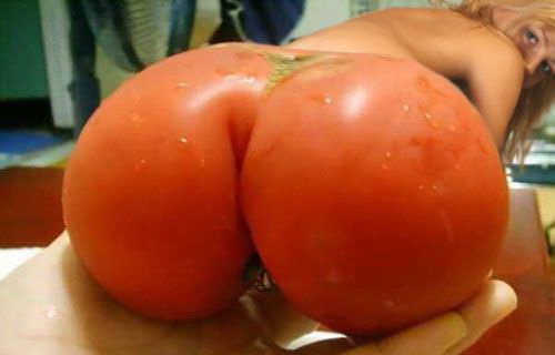 500x320, 31 Kb / помидор, жопа