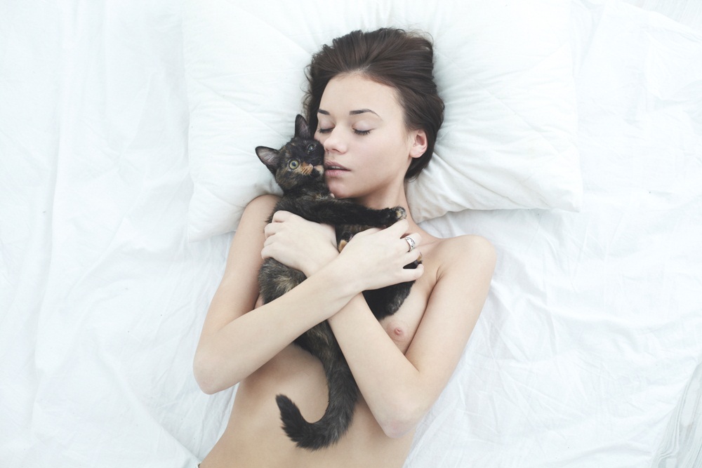 1000x667, 113 Kb / кот, маленькая грудь