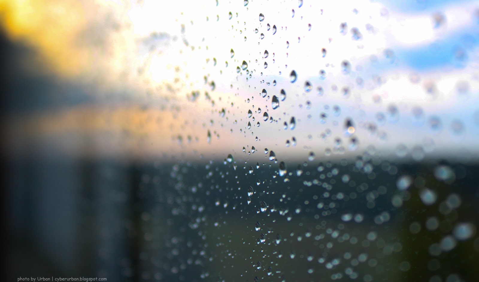 1600x941, 118 Kb / капли, закат, лес, стекло, разделение