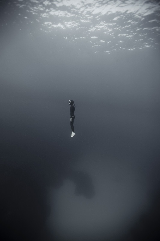 533x800, 43 Kb / дайвер, пловец, ч/б, море