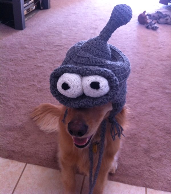 600x680, 64 Kb / собака, бендер, шапка