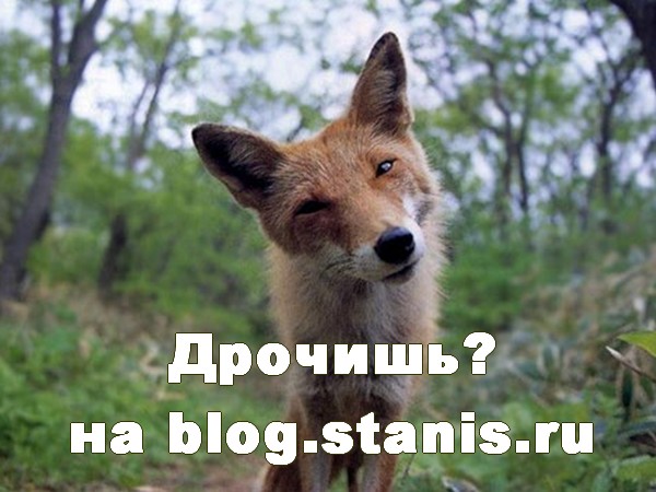 600x450, 69 Kb / лиса, дрочишь