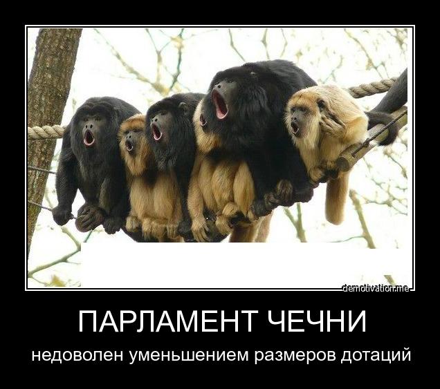 636x563, 51 Kb / чечня, парламент, дотации, обезьяны