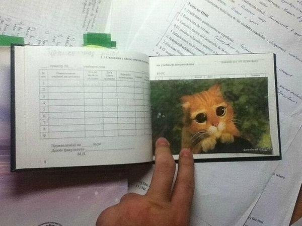 600x449, 48 Kb / зачётка, кот, шрек, лайфхак