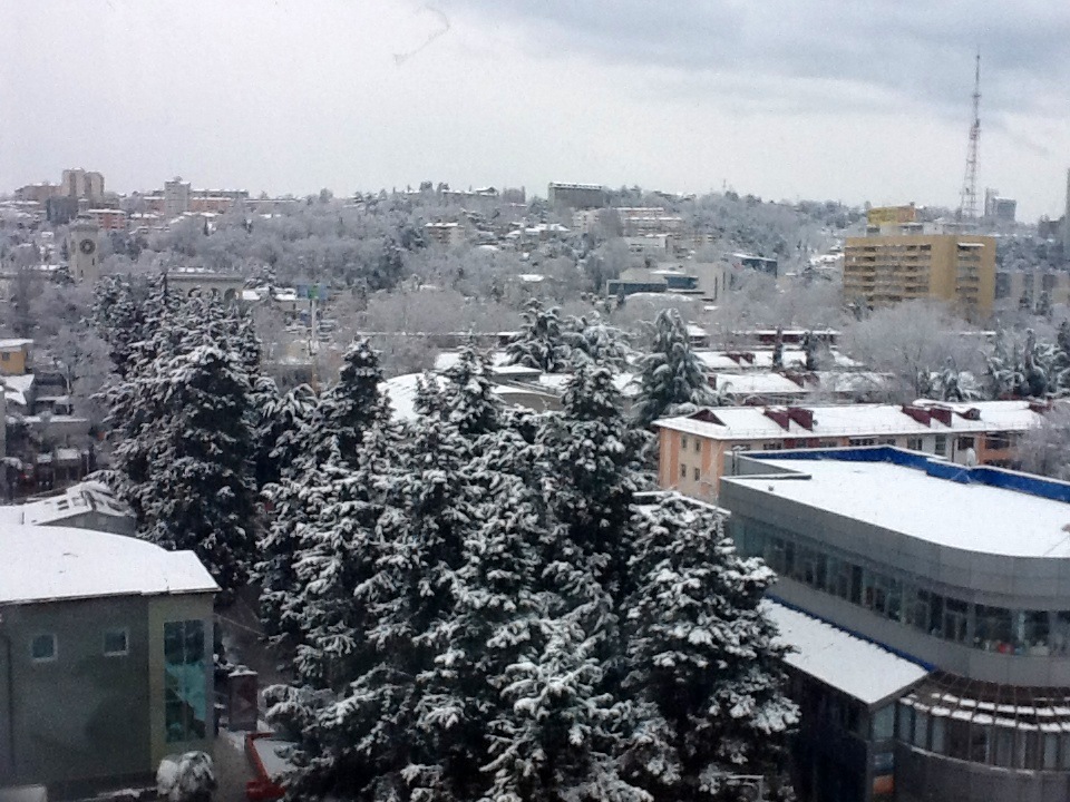 960x720, 257 Kb / Сочи, снег, зима, фото, город