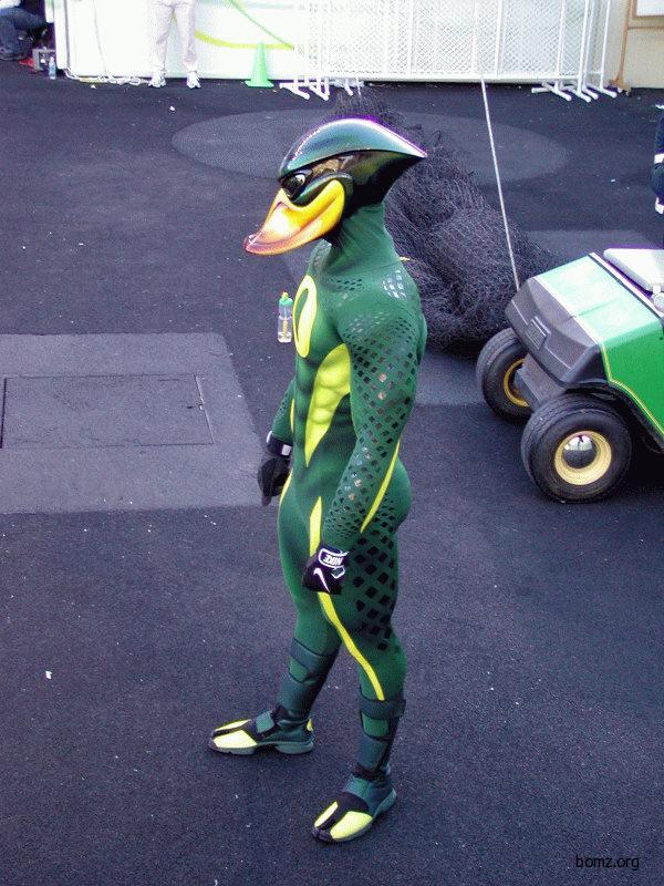 600x800, 98 Kb / костюм, утка, шлем, очки