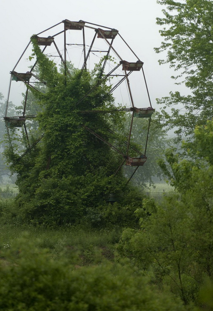 686x1000, 272 Kb / колесо, трава, заросли, атракцион