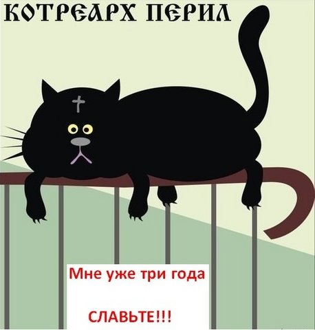 458x480, 28 Kb / кот, перила, котреарх