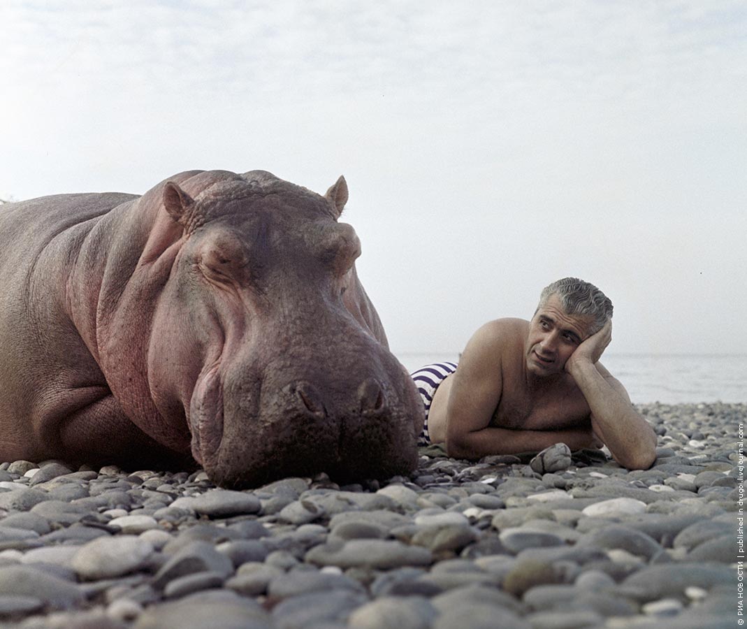 1069x900, 111 Kb / бегемот, мужчина, берег