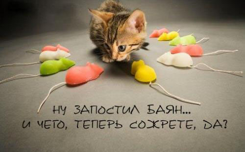 500x312, 44 Kb / баян, мышки