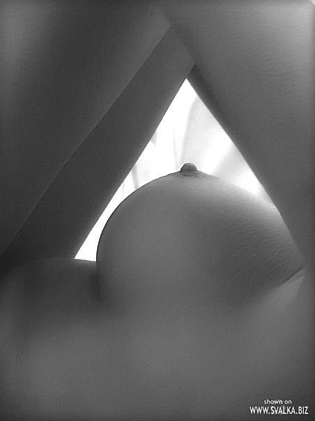 452x605, 25 Kb / ч/б