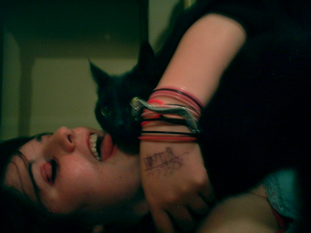 450x338, 137 Kb / кошка