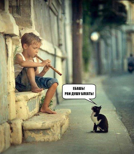 525x604, 52 Kb / котэ, мальчик, музыка, дудочка