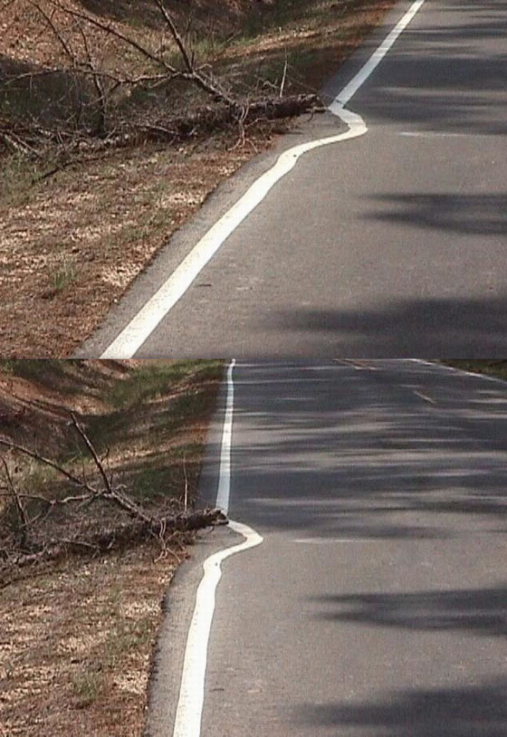 560x814, 153 Kb / Разметка, линия, дерево