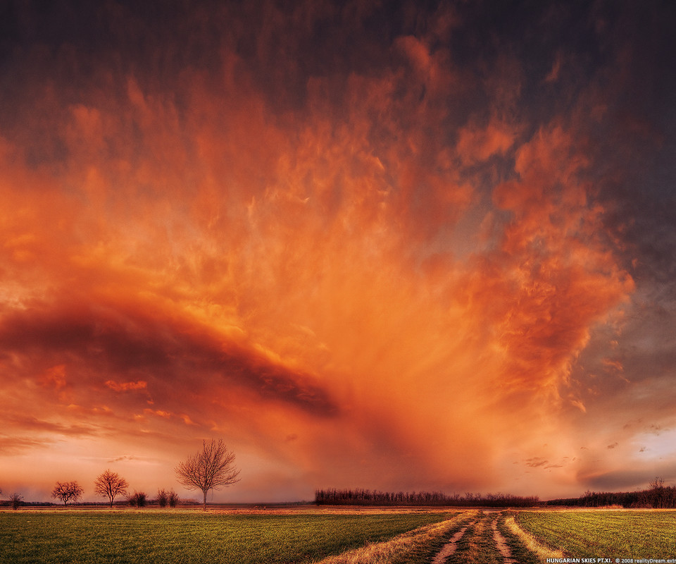 960x800, 185 Kb / небо, поле, облака, закат