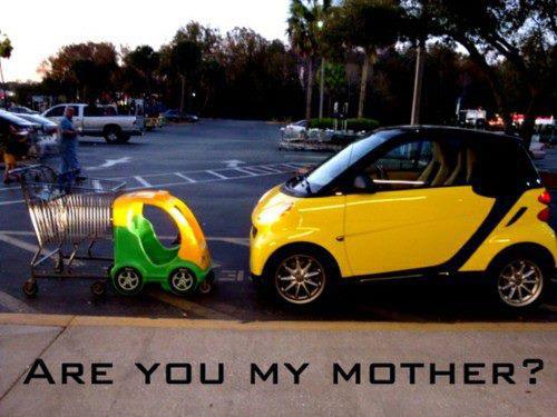 500x375, 39 Kb / смарт, тележка