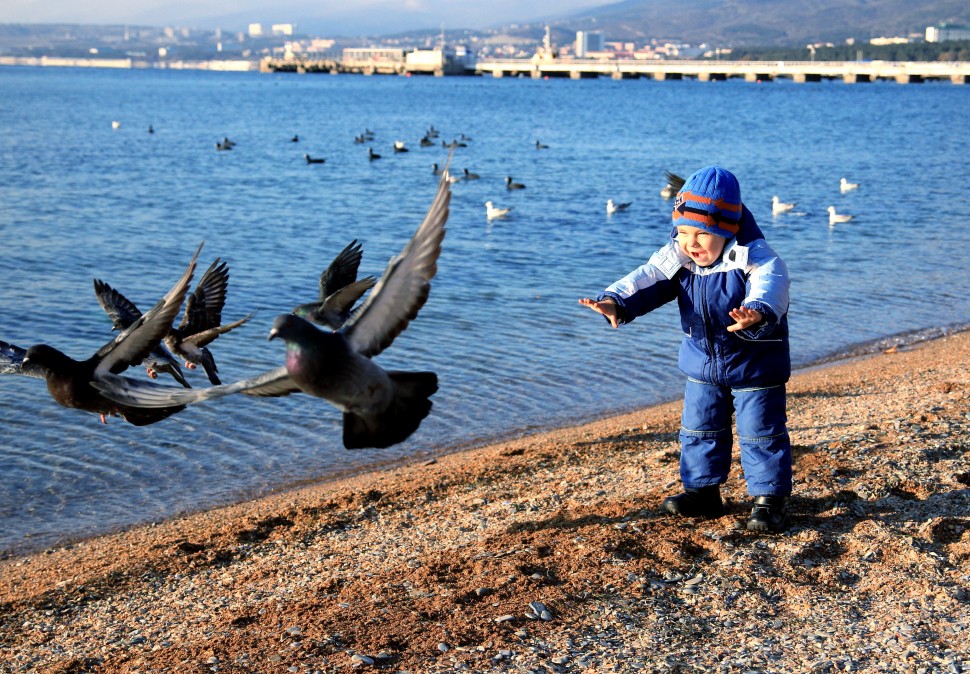 970x674, 275 Kb / ребёнок, голуби, пляж