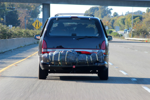 500x334, 65 Kb / труп, мешок, машина