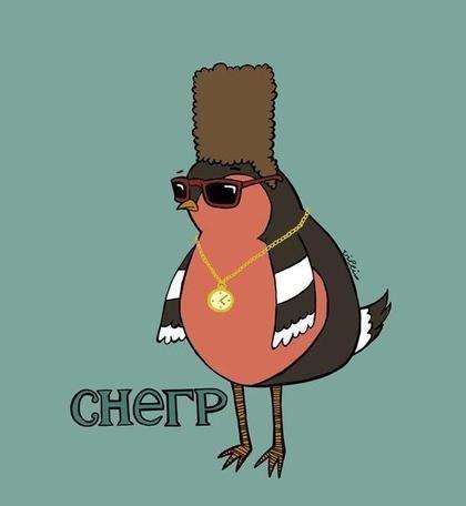 420x456, 15 Kb / снегр, снегирь