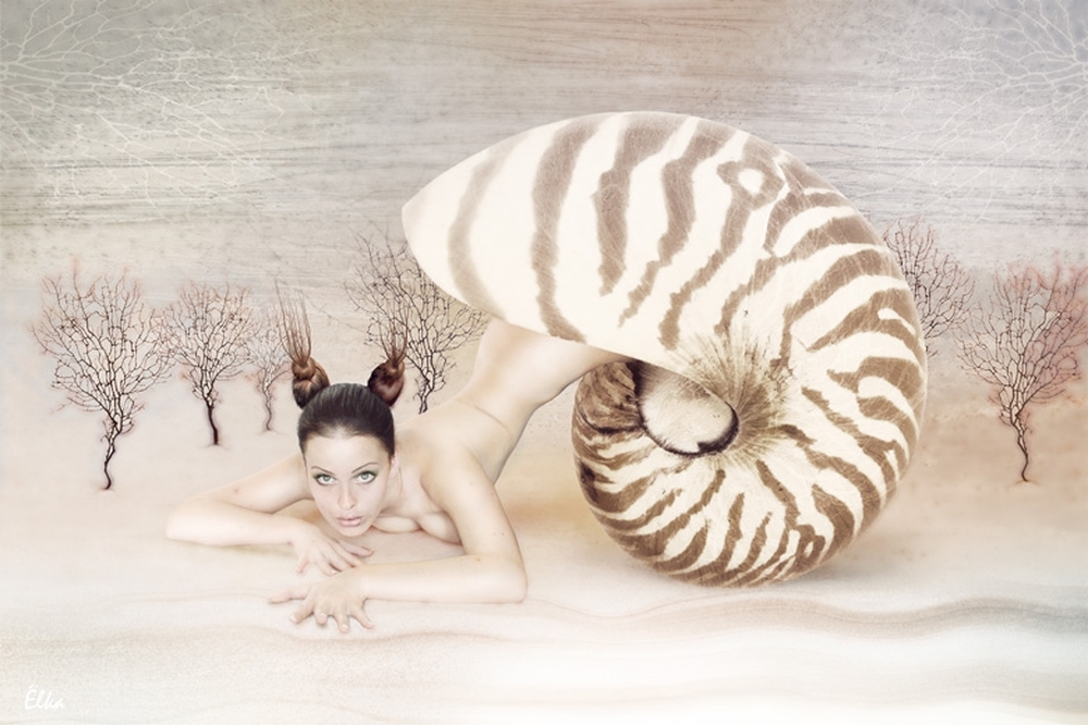 1000x666, 387 Kb / раковина